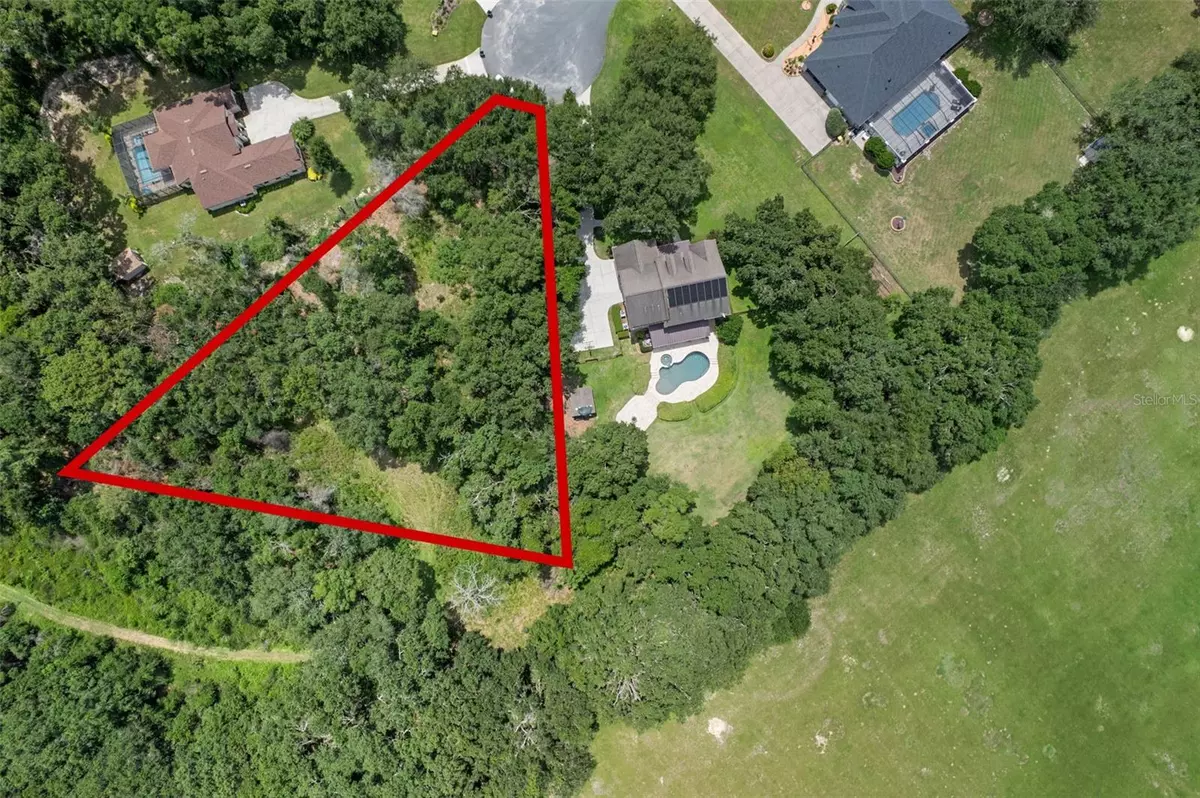 Fruitland Park, FL 34731,1300 OTTERS VIEW CT