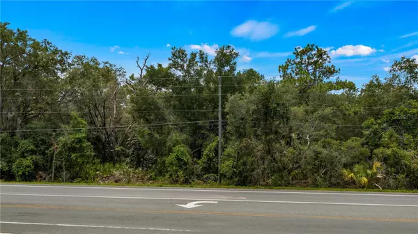 Yalaha, FL 34797,TBD CR-48