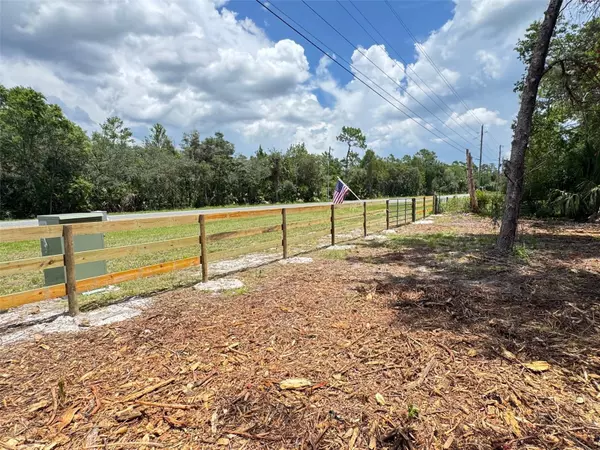 Paisley, FL 32767,COUNTY ROAD 42