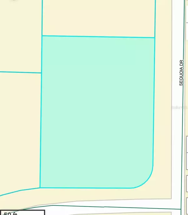 Ocklawaha, FL 32179,SEQUOIA DR. TRAIL