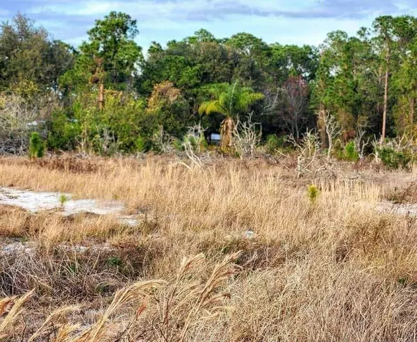 Frostproof, FL 33843,W FROSTPROOF RD #LOT 11