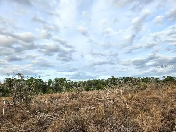 W FROSTPROOF RD #LOT 11, Frostproof, FL 33843