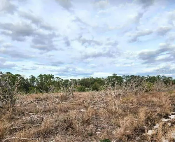 Frostproof, FL 33843,W FROSTPROOF RD #Lot 17