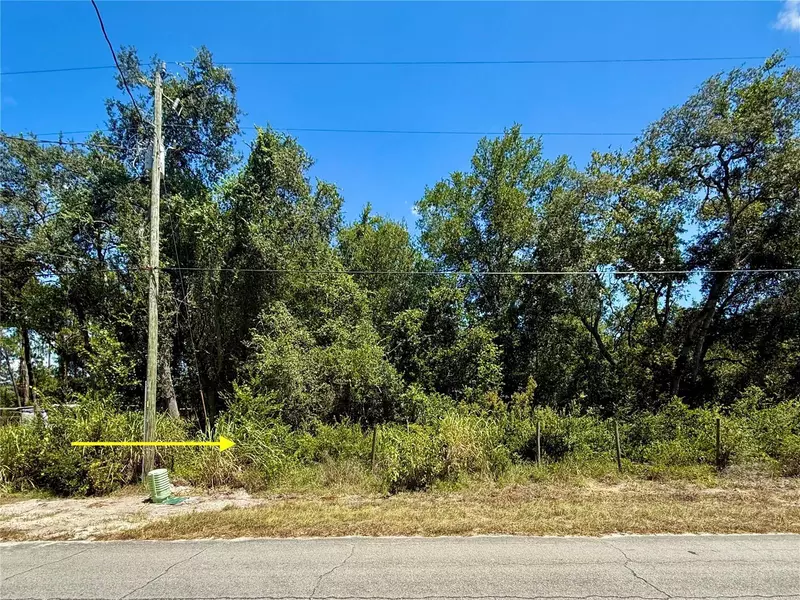 LOT 12 LAKE DR, Eustis, FL 32736