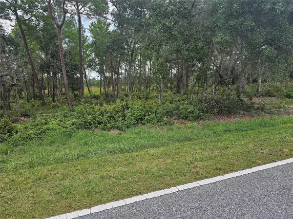 Eustis, FL 32736,39600 ROYAL TRAILS RD