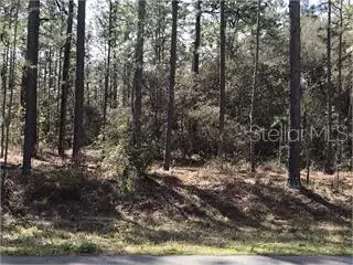 Wildwood, FL 34785,1933 CR 243C