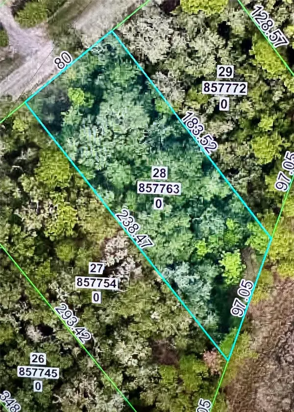 Webster, FL 33597,OCTAVIA LN