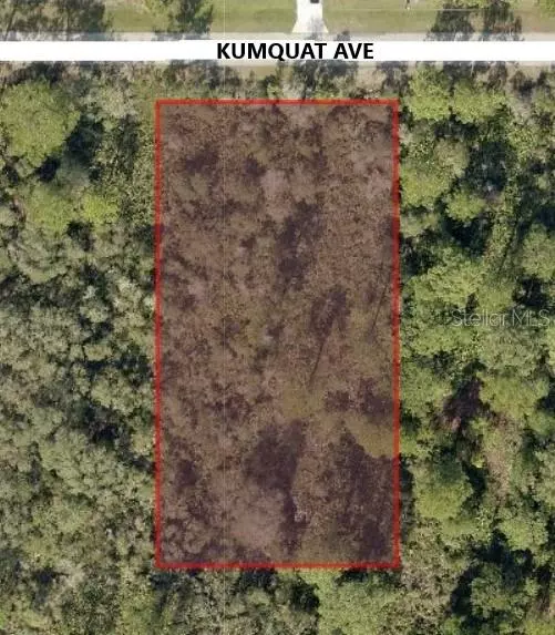 30610 KUMQUAT AVE, Eustis, FL 32736