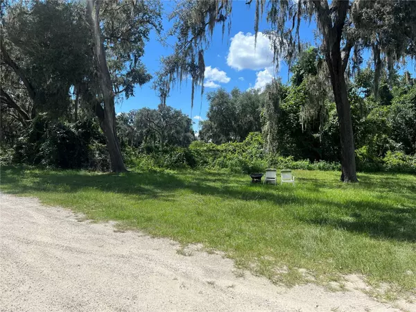 Umatilla, FL 32784,19865 SE HIGHWAY 42