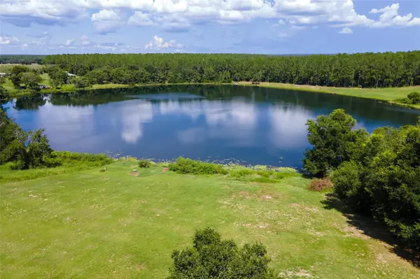 Weirsdale, FL 32195,15681 SE 170TH AVE