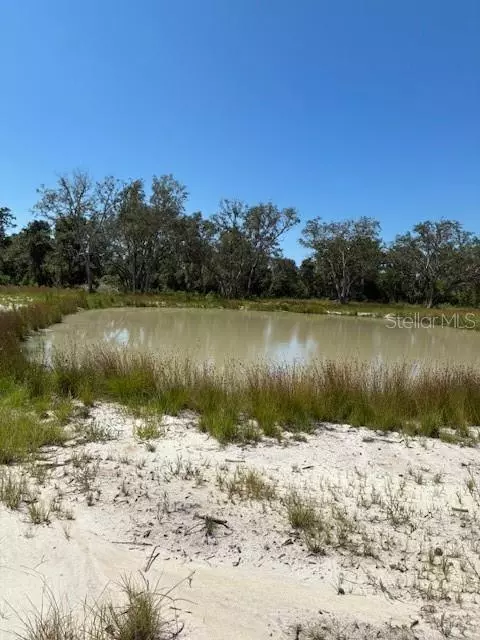 Umatilla, FL 32784,LAKE YALE RD
