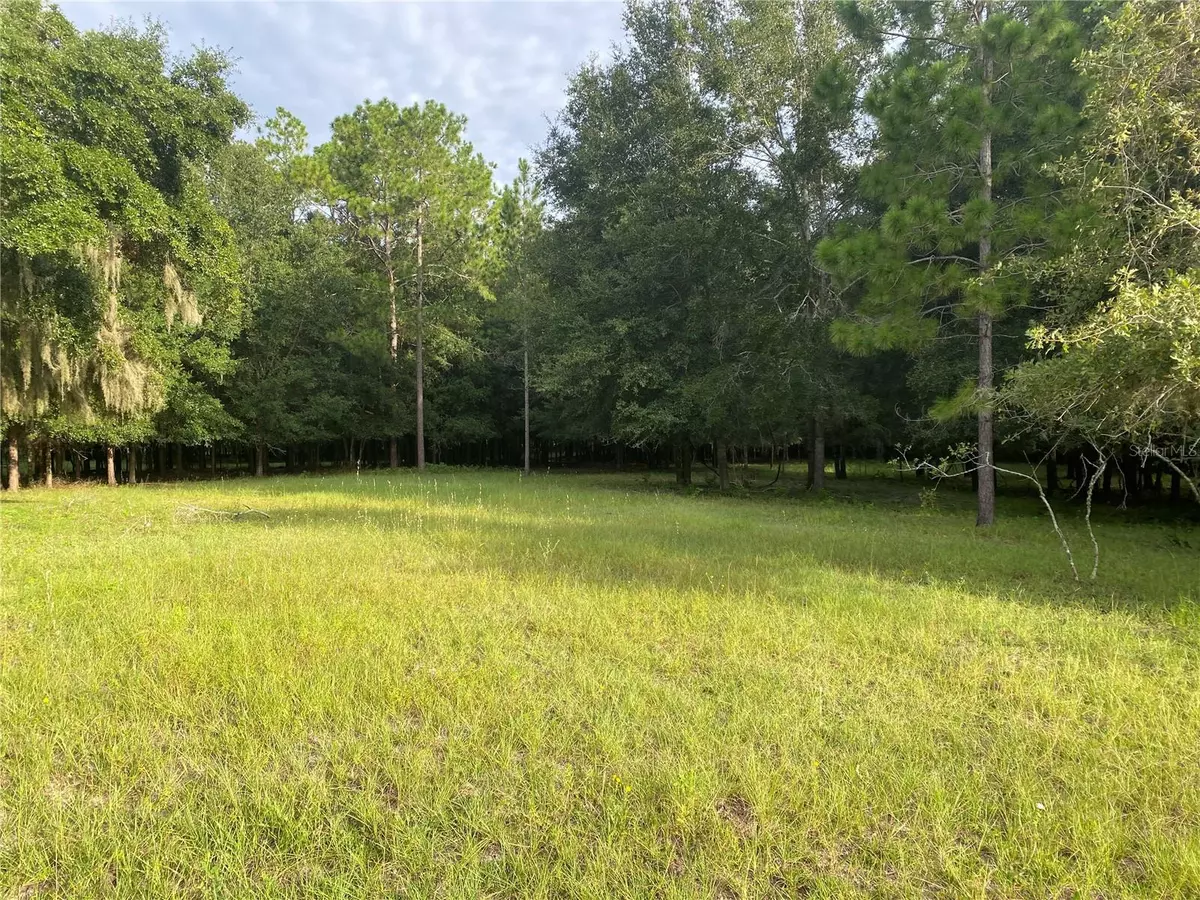 Oxford, FL 34484,CR 466