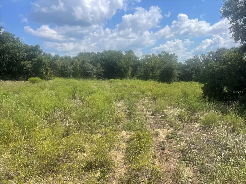TBD KEENE RD, Umatilla, FL 32784