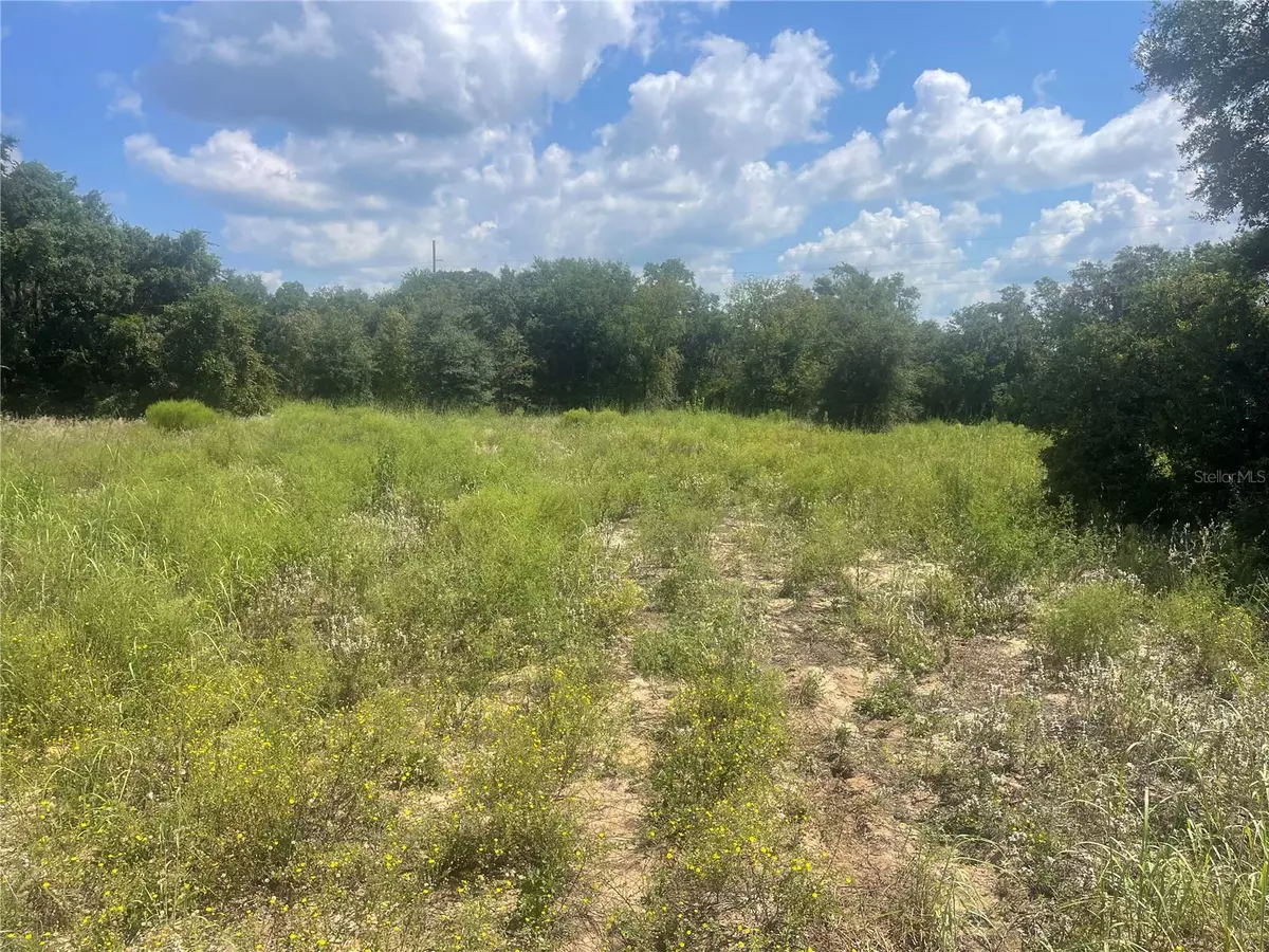Umatilla, FL 32784,TBD KEENE RD
