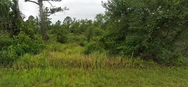 Sebring, FL 33872,7935 LEONARDO ST