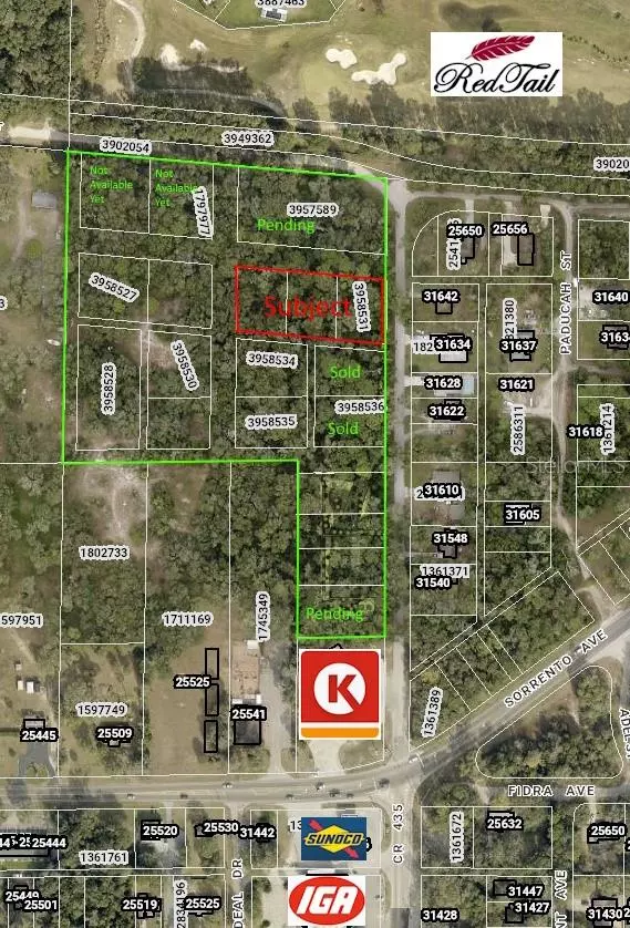 31635 NILES ST, Mount Plymouth, FL 32776