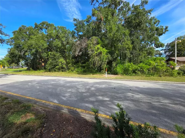 Summerfield, FL 34491,TBD HIGHWAY 42