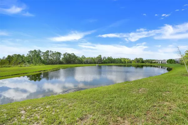 Clermont, FL 34714,17635 SAW PALMETTO AVE
