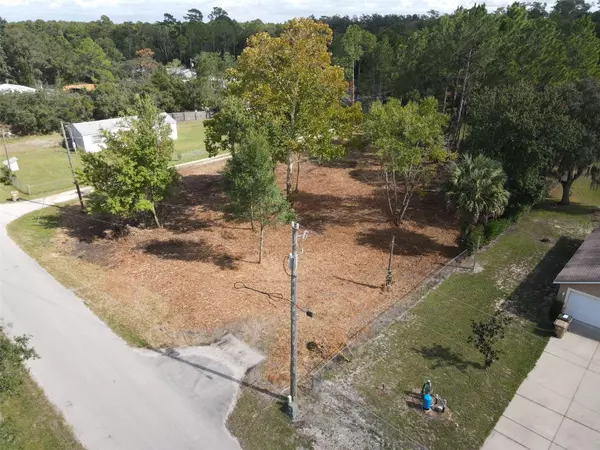 28802 HIBISCUS AVE, Paisley, FL 32767