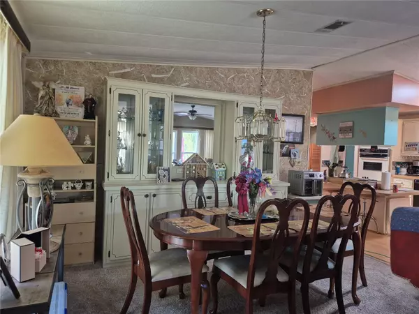 Tavares, FL 32778,3021 MYAKKA RIVER RD