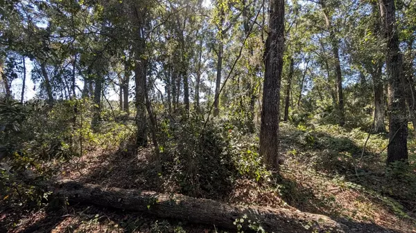 Apopka, FL 32712,2500 PLYMOUTH SORRENTO RD