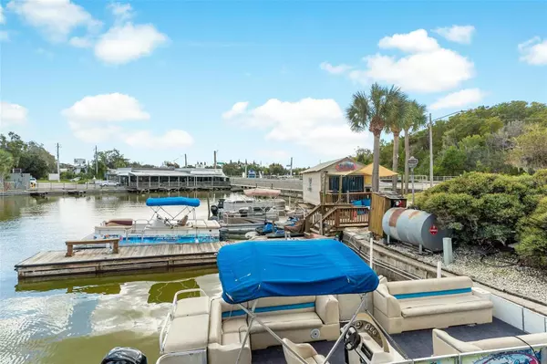 Tavares, FL 32778,1006 W BURLEIGH BLVD