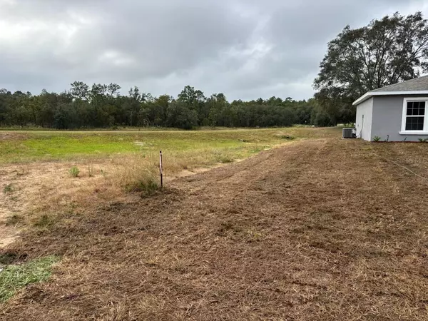 Citrus Springs, FL 34434,1542 W BELEN DR