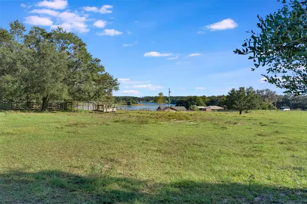 Weirsdale, FL 32195,SE 156TH PLACE RD