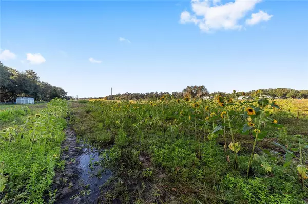 Sumterville, FL 33585,3623 CR 526