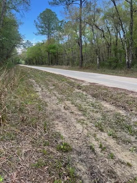 Webster, FL 33597,00 PACKINGHAM DR