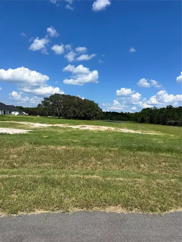 Umatilla, FL 32784,20276 SHORELINE RANCH LN