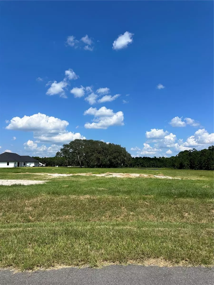 Umatilla, FL 32784,20276 SHORELINE RANCH LN