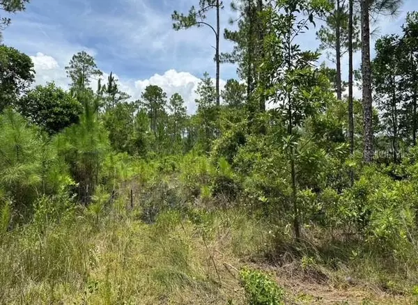 Palatka, FL 32177,116 SW 1ST AVE