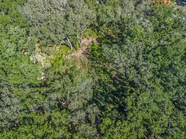 Summerfield, FL 34491,SE 99TH AVE