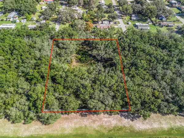 Summerfield, FL 34491,SE 99TH AVE