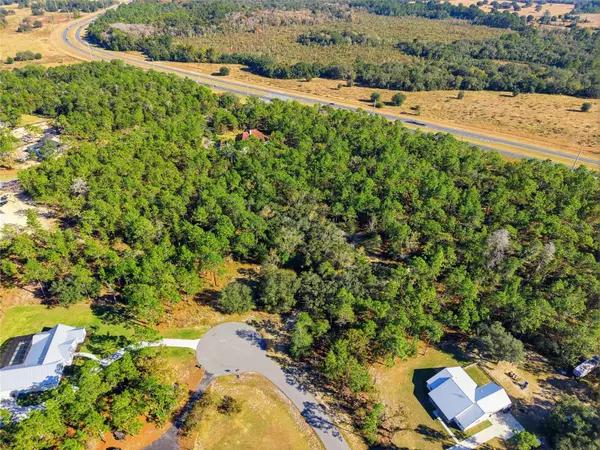 Wildwood, FL 34785,1811 COUNTY ROAD 243D