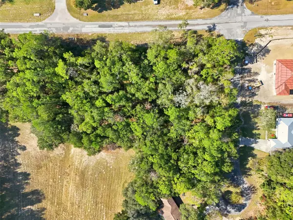 Citrus Springs, FL 34434,10441 N BISCAYNE DR