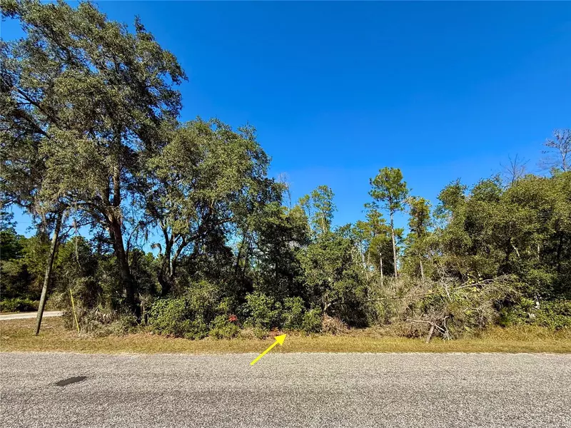 LOT 11 TULIP AVE, Eustis, FL 32736