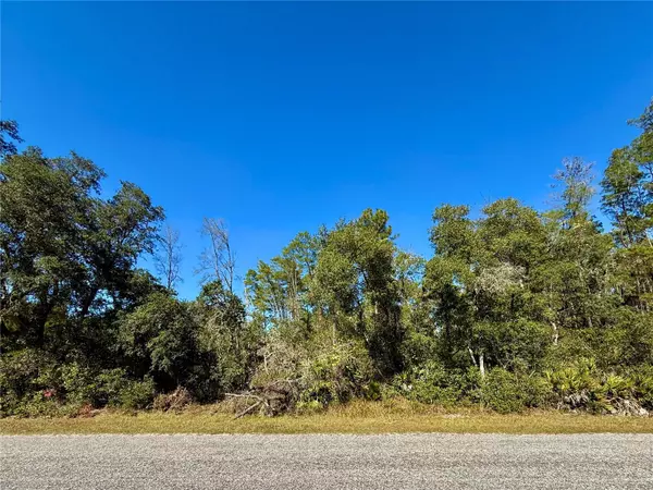 Eustis, FL 32736,LOT 11 TULIP AVE