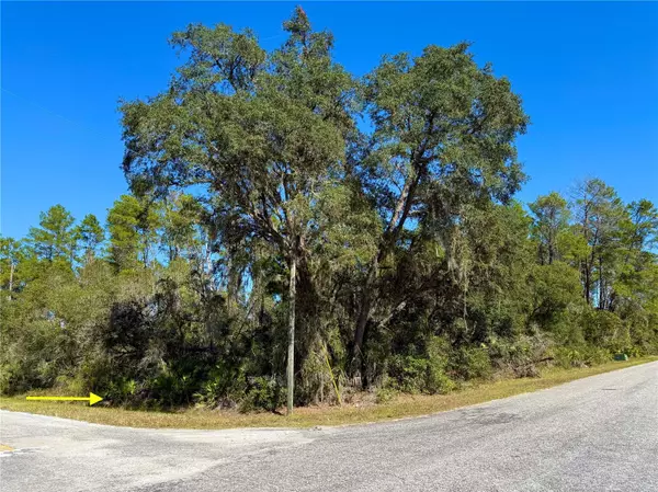 LOT 11 TULIP AVE, Eustis, FL 32736