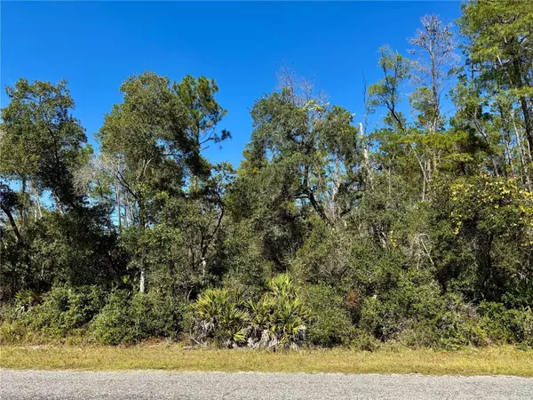 Eustis, FL 32736,LOT 11 TULIP AVE