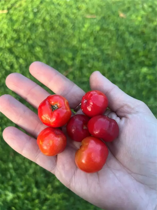 Cocoa, FL 32927,988 ELKCAM BLVD