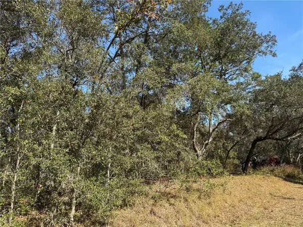 Ocklawaha, FL 32179,SE 115 PLACE RD