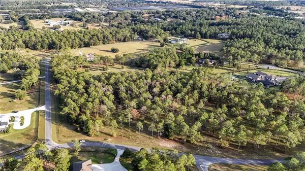 Eustis, FL 32736,24325 DEEP SPRINGS LOOP