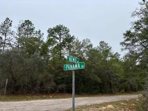 Citrus Springs, FL 34434,517 E NEMO DR