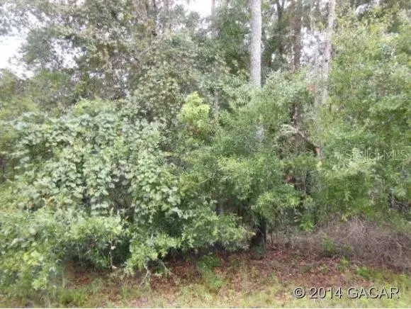 LOT 28 SW Magnolia LN, Fort White, FL 32038