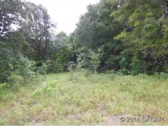 Ft. White, FL 32038,LOT 28 SW Magnolia LN