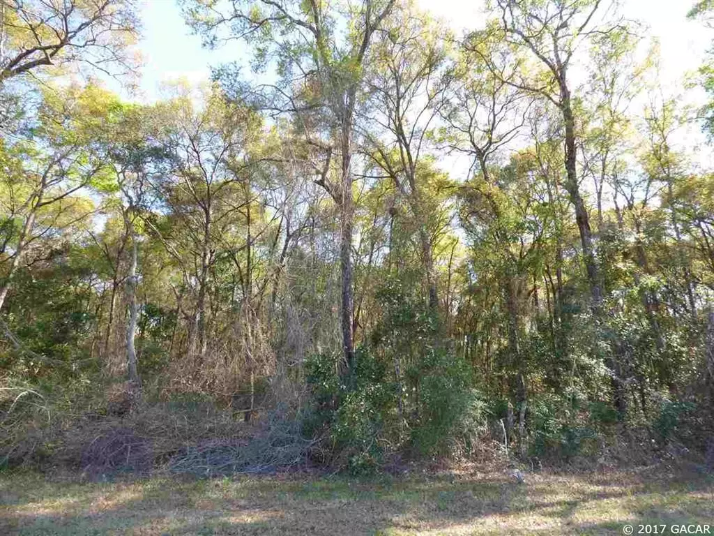 Trenton, FL 32693,TBD NW 170 ST #Lot 46