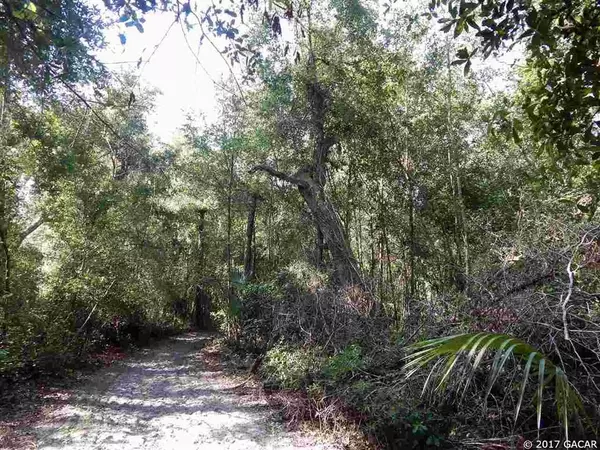 Bell, FL 32619,00 SW 75th Terr