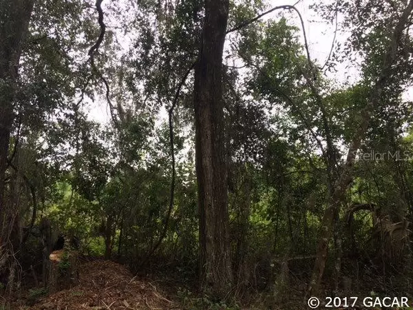 000 SW 15th AVE, Newberry, FL 32669